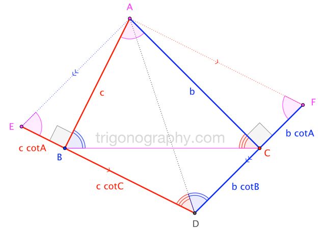 C Is For Cot - Nature Photo Collection - 4K Quality