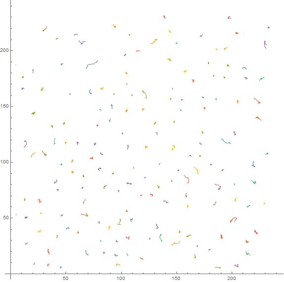 Image Processing Tracking Cells As They Move Under A Microscope - City Photos - High Quality High Resolution Collection