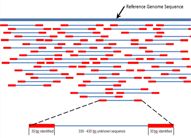 Bioconductor Input Normalization In Chip Seq Bioinformatics Stack - Beautiful Vintage Art - Desktop