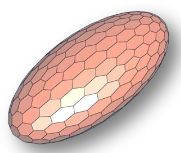 Graphics Making A 2d Hexagonal Mesh Mathematica Stack Exchange - Best Geometric Textures in HD