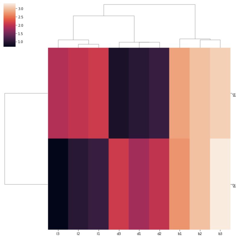 Python Reordering The High Level Clusters From Seaborn Clustermap - Premium Sunset Texture Gallery - Full HD