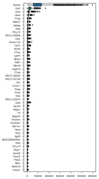 Scrna Seq Normalize Gene Expression Values With Sctransform Youtube - Classic 8K Vintage Designs | Free Download