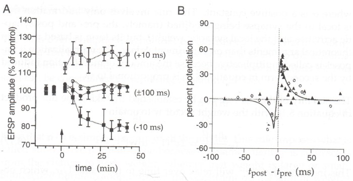 Neuroscience - Are there open data for long-term potentiation ...