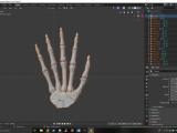 Rigging A Skeleton Hand With Separated Bones Blender Stack Exchange