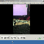 Ffmpeg Gif To Mp4 - Gresac