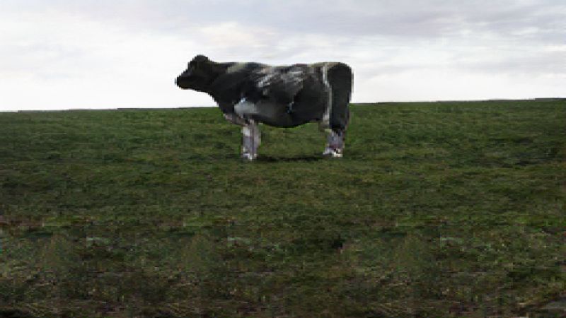 Having A Solid Color In The Reflection With Eevee Blender Stack Exchange - Stunning 4K Gradient Illustrations | Free Download