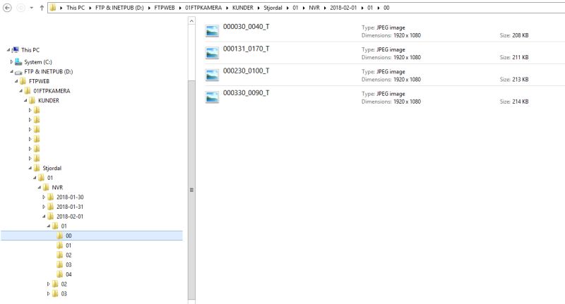 Batch Move Folders Support Eagle - Ultra HD Vintage Wallpapers for Desktop