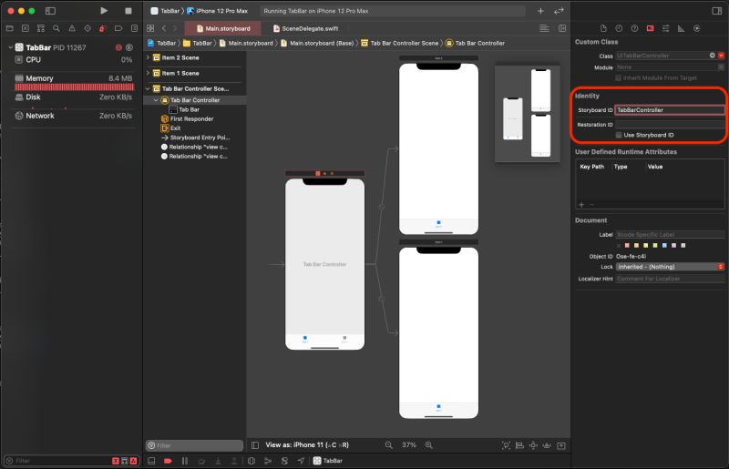 Ios Initialize Tabbarcontroller From Scenedelgate Swift Stack Overflow - Premium Colorful Design Gallery - HD