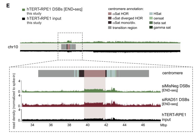 Reversereplaymodel Codes Fig1 Adpmod Plot Spike Py At Master - Full HD Dark Photos for Desktop