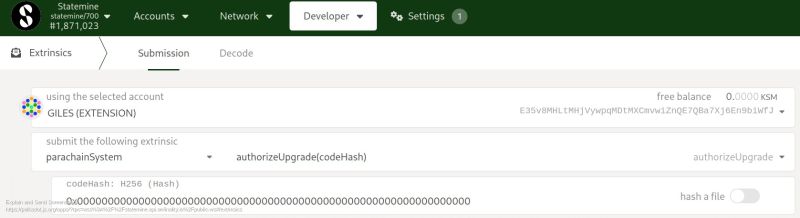 Troubleshooting Persistent Error Following Parachain Runtime Upgrade - Premium Dark Art Gallery - Desktop