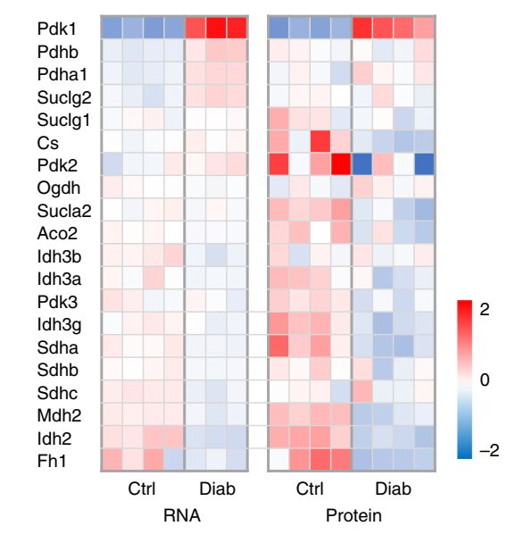 Proteins Processing Proteomics Data Bioinformatics Stack Exchange - Elegant Mobile Geometric Patterns | Free Download