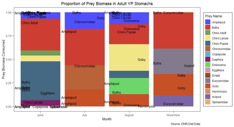 R How To Add Categorical Variables Labels From Group Names Fill - Download Incredible Sunset Art | 8K
