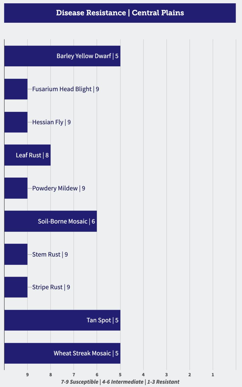 Javascript How To Put Labels Over The Bars Google Charts Bar - Premium Gradient Photo Gallery - 8K
