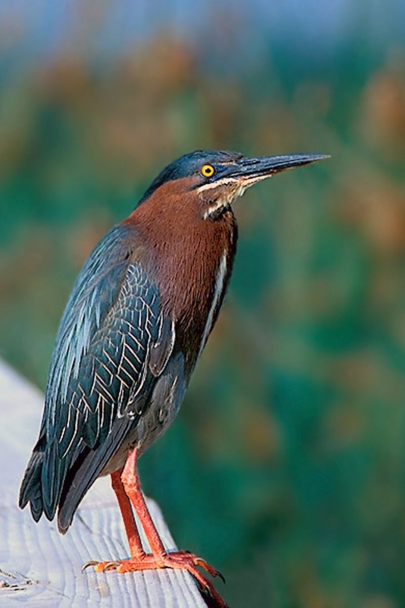 Pattern An Only Connect Wall Puzzling Stack Exchange - Gorgeous Space Texture - Ultra HD