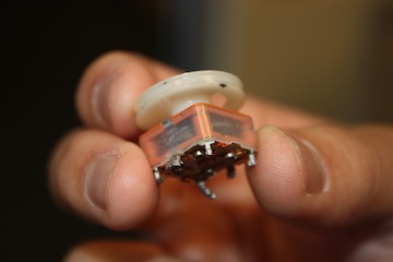 Variable Capacitor Electrical Engineering Stack Exchange Variable Capacitor Electrical Engineering Stack Exchange