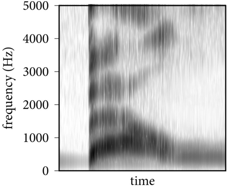 How To Read A Spectrogram Nocmig - Best Colorful Wallpapers in Retina