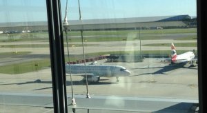 bird plane aircraft t5 despite hopefully being