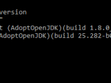 Why Is My Java Version Showing Openjdk Version 1 8 0 282 Stack