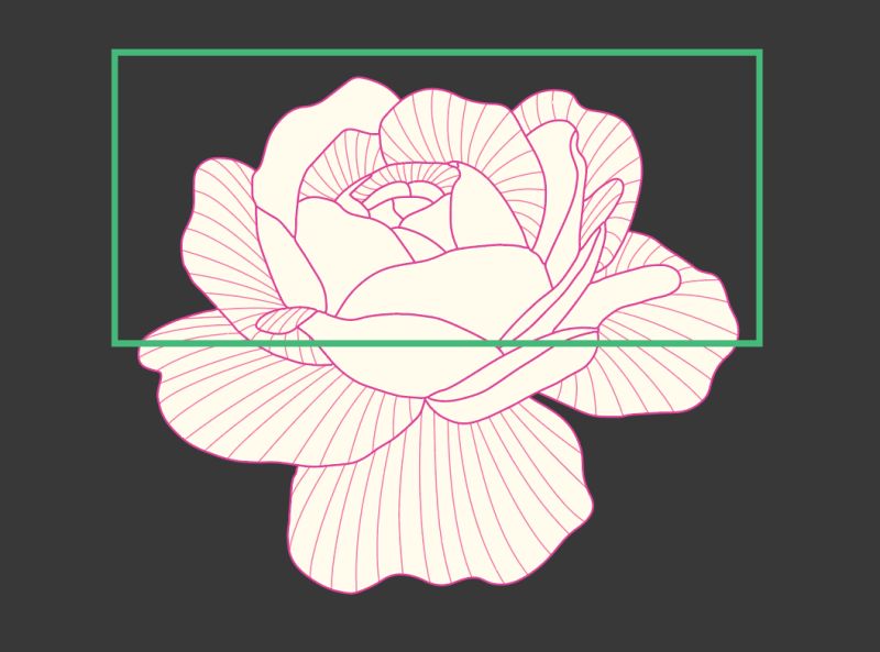 Crop A Bitmap Image In Illustrator Learn To Crop Bitmaps Using Vector - Artistic Minimal Picture - Retina