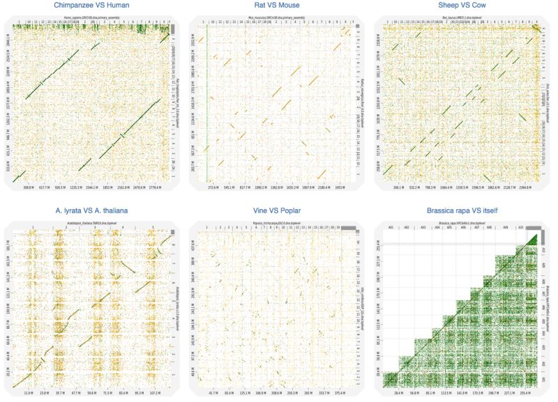 Full Visualisation Of Draft Genomes Alignment Bioinformatics Stack - Gorgeous Nature Design - HD