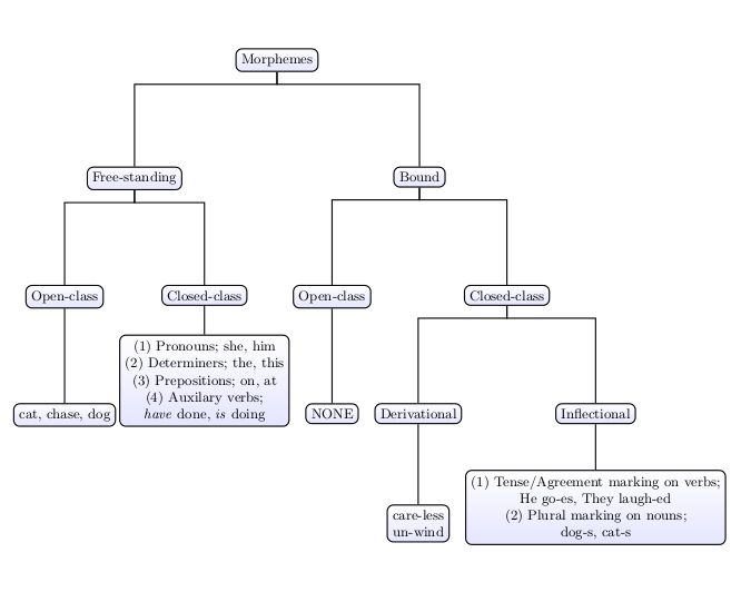 Tikz Picture Overlaps With Text Tex Latex Stack Exchange - Best Nature Arts in High Resolution