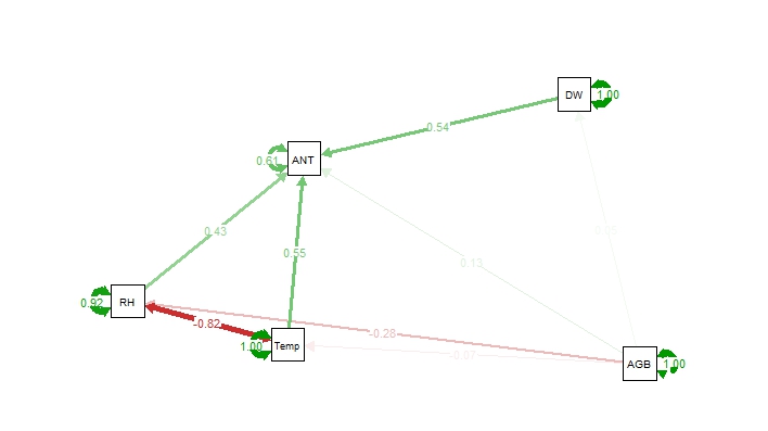 Path Culture R Path - Dark Photos - Ultra HD Mobile Collection