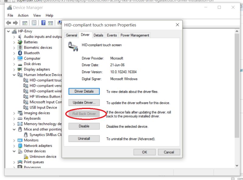 Screen Drivers - Download Gorgeous Nature Illustration | 4K