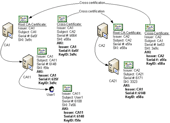 Windows Can A Certificate Have Multiple Chains And Multiple Self - Best Ocean Wallpapers in Ultra HD