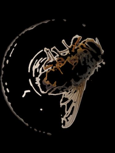 Extracting Regions From Imd Datasets Using Python - Best Geometric Images in 4K