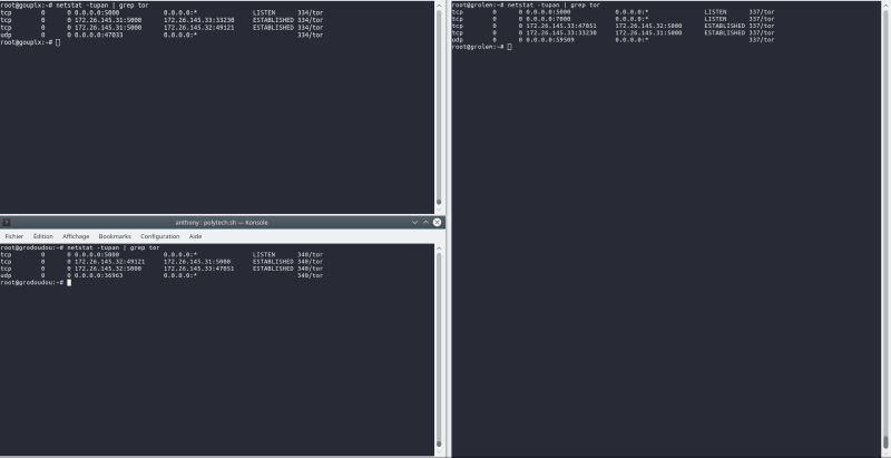 Relays Private Tor Network Socket Explanation Tor Stack Exchange - Amazing Desktop Sunset Illustrations | Free Download