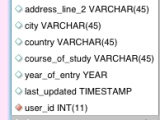 Mysql Inserting Data Into Multiple Tables Database Administrators
