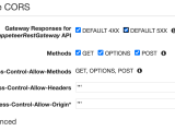 Amazon Web Services Cors Preflight Response Error With Aws Api