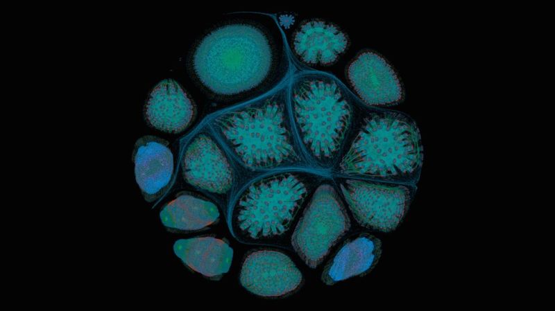 Neuralnetwork How Do You Visualize Neural Network Architectures - Geometric Art Collection - Full HD Quality