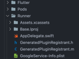 Flutter Firebase Has Not Been Correctly Initialized Flutter Fixes