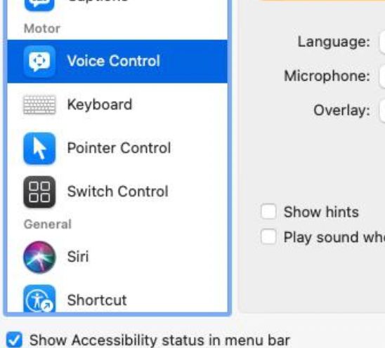 In Line Voice Control Commands - Best City Designs in Retina