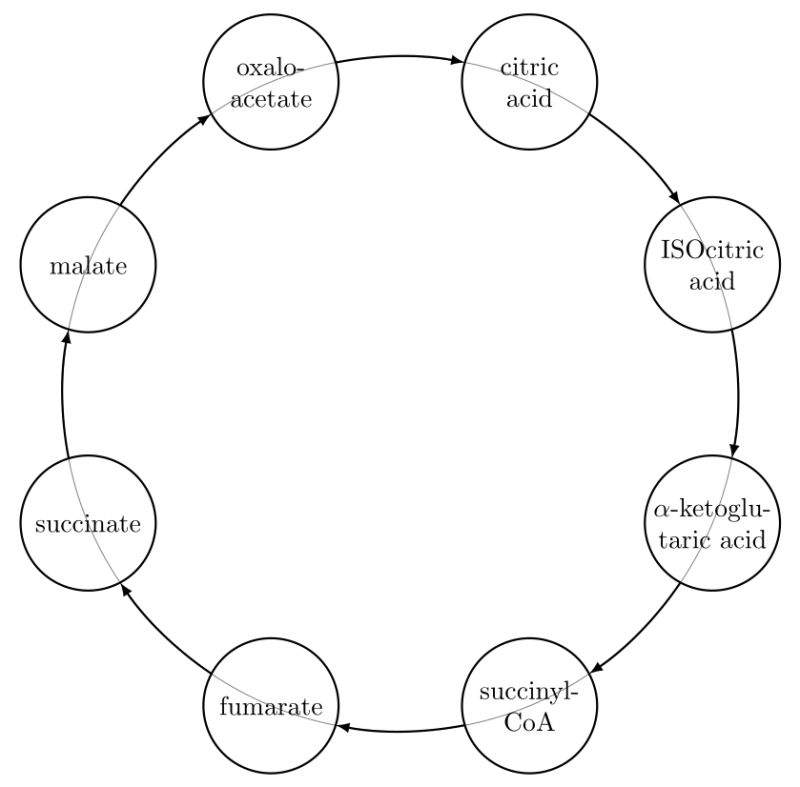 Draw Circular Lines Between Tikz Nodes Tex Latex Stack Exchange - Premium Dark Design Gallery - Desktop