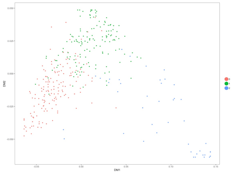 The Diffusion Curve Or - Nature Patterns - Creative High Resolution Collection