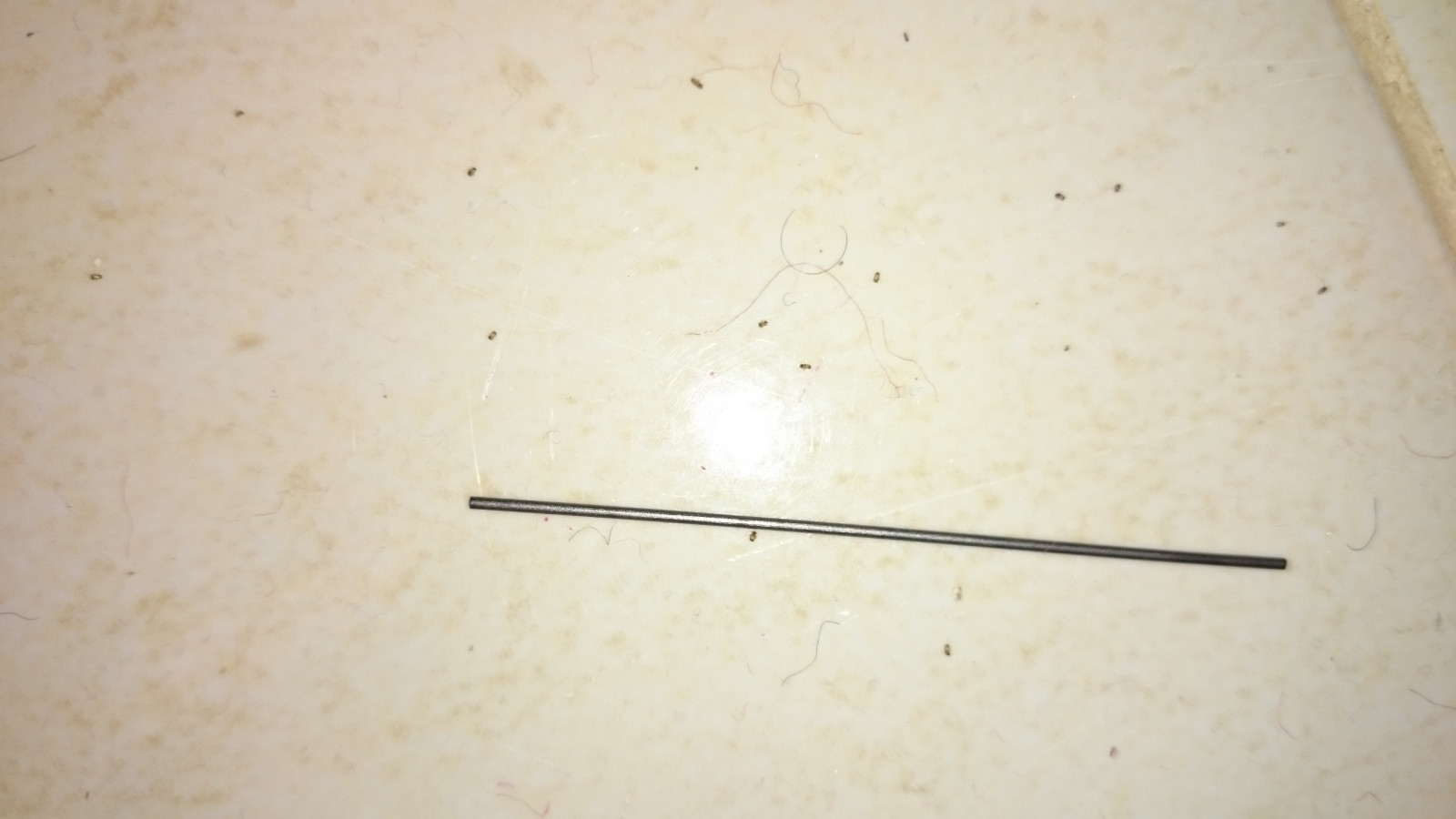 The concept behind countertop dishwashers was always a good one. entomology - I have a black tiny bug crawling all over the