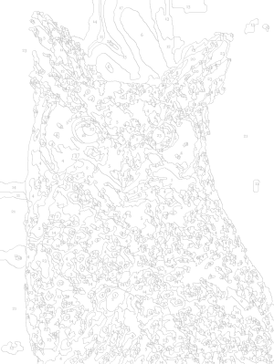 paint software number graphic improve answer