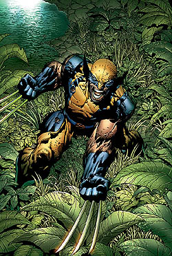 Why Does Wolverine Wear A Mask (in The Comic/animated Versions) - Science  Fiction & Fantasy Stack Exchange