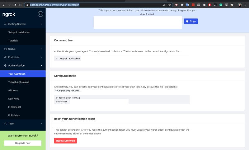 Authentication Ngrok Auth Token File Location Stack Overflow - Abstract Illustrations - Incredible HD Collection