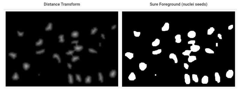 Seeds Segmentation In Opencv Python Stack Overflow - Minimal Background Collection - HD Quality