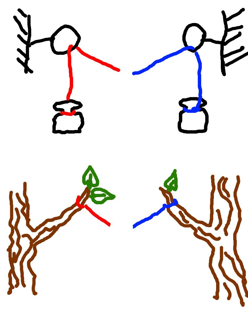 Tying Two Ropes Together - Ocean Pictures - Artistic Ultra HD Collection