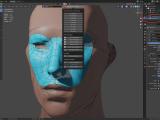 Retopology Can I Resume Retopologizing A Mesh In Retopoflow After