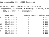 Juniper Junos How Do I View Bgp Communities Of Received Routes In Ios