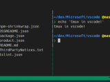 Vs Code 2 Split Terminal In One Split