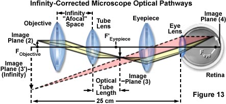Optics Infinity Corrected Objective Lens Microscope Design Physics - Ultra HD Nature Backgrounds for Desktop