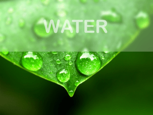 Html Background Blur Effect