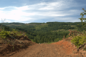 blurry focus landscape d3000 nikon issue nef both format stack