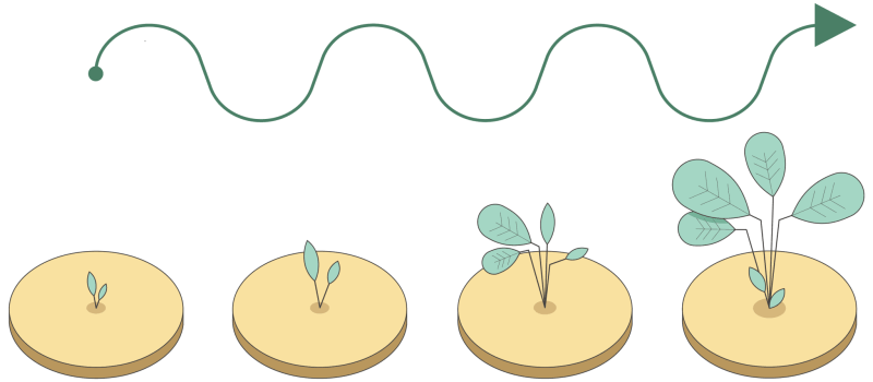 How We Perceive Time - Mobile Nature Arts for Desktop
